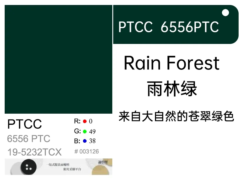 流行時尚｜2024/25年秋冬倫敦時裝周全新流行色：雨林綠