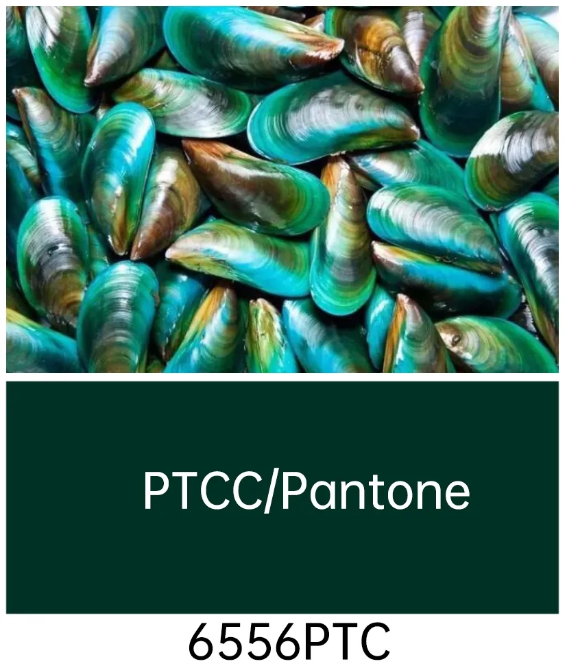 流行時尚｜2024/25年秋冬倫敦時裝周全新流行色：雨林綠