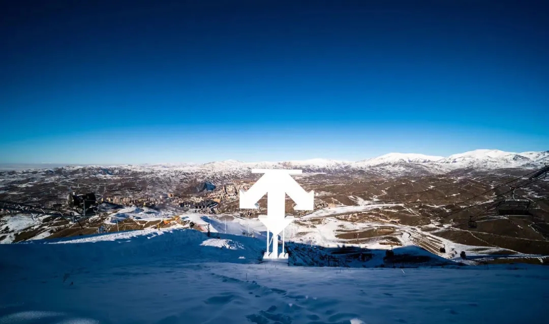 丁世忠之子：我們三年內肯定做到100億